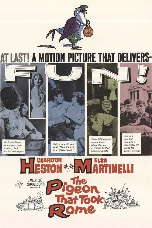 Poster of the movie The Pigeon That Took Rome