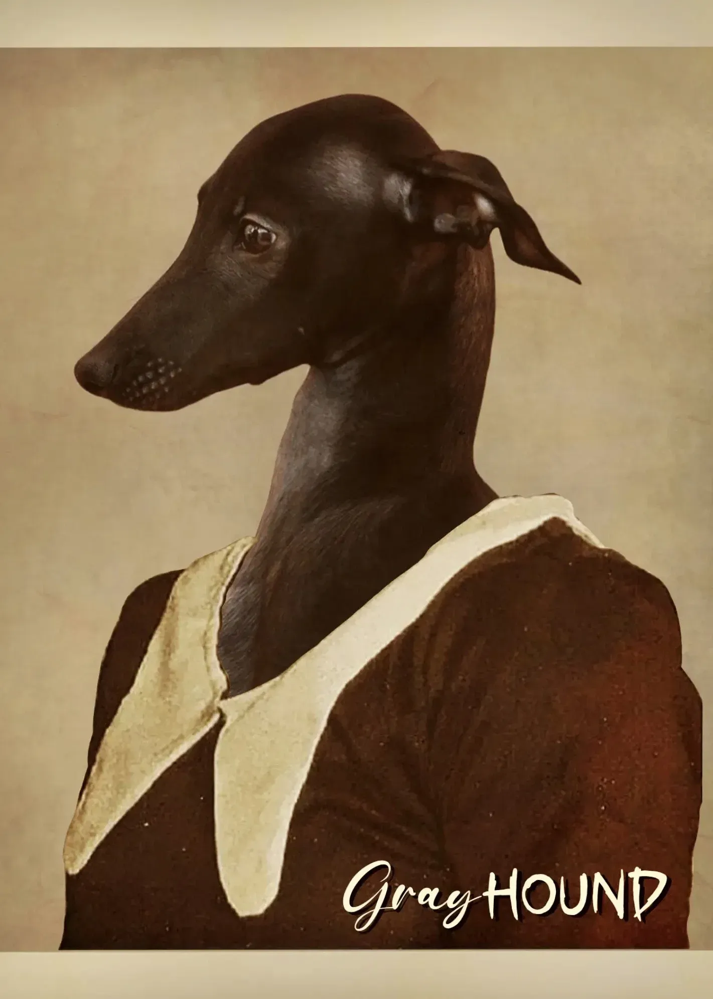 Poster for Gray Hound