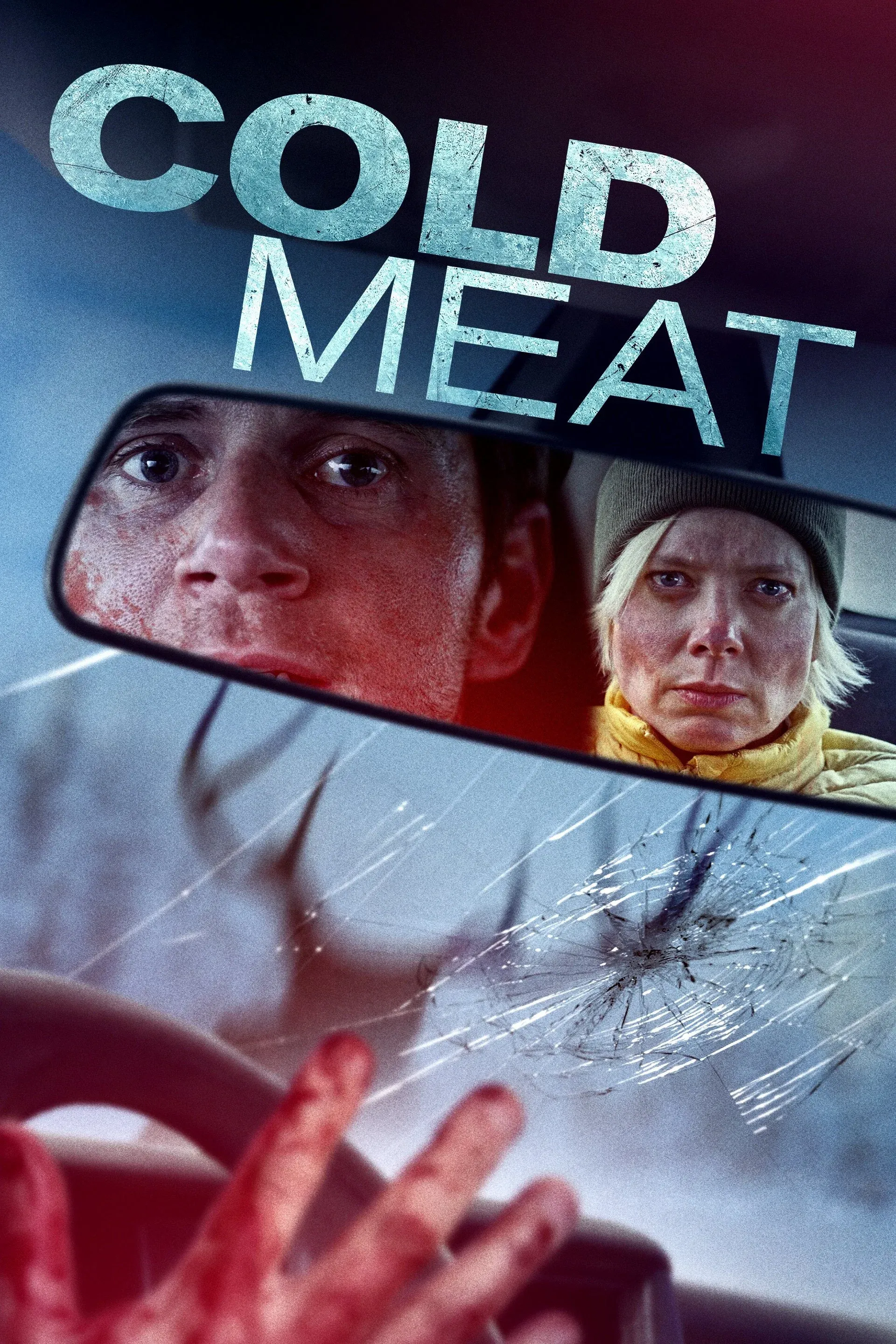 Poster of the movie Cold Meat