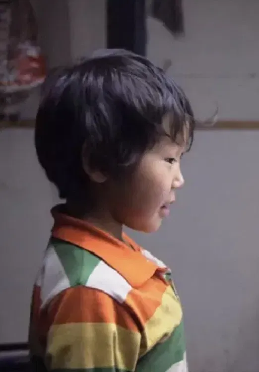 Poster of the movie Deer Master