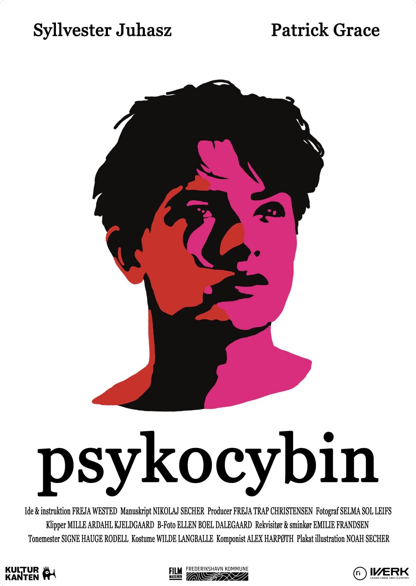 Poster of the movie Psykocybin