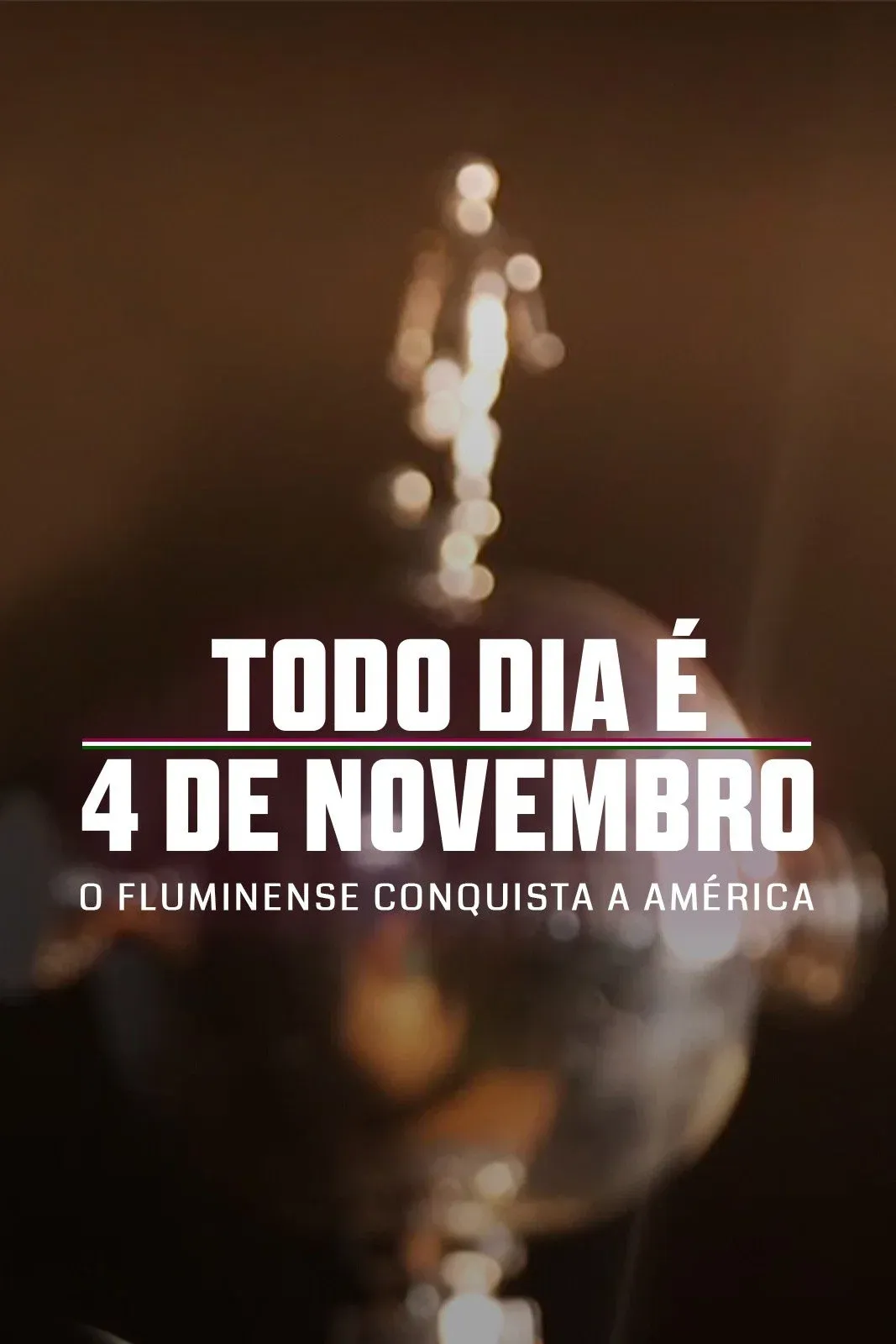 Poster for Todo Dia é 4 de Novembro: O Fluminense Conquista a América