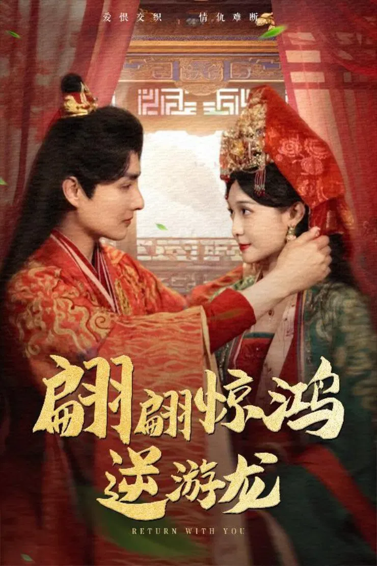 Poster of 翩翩惊鸿逆游龙