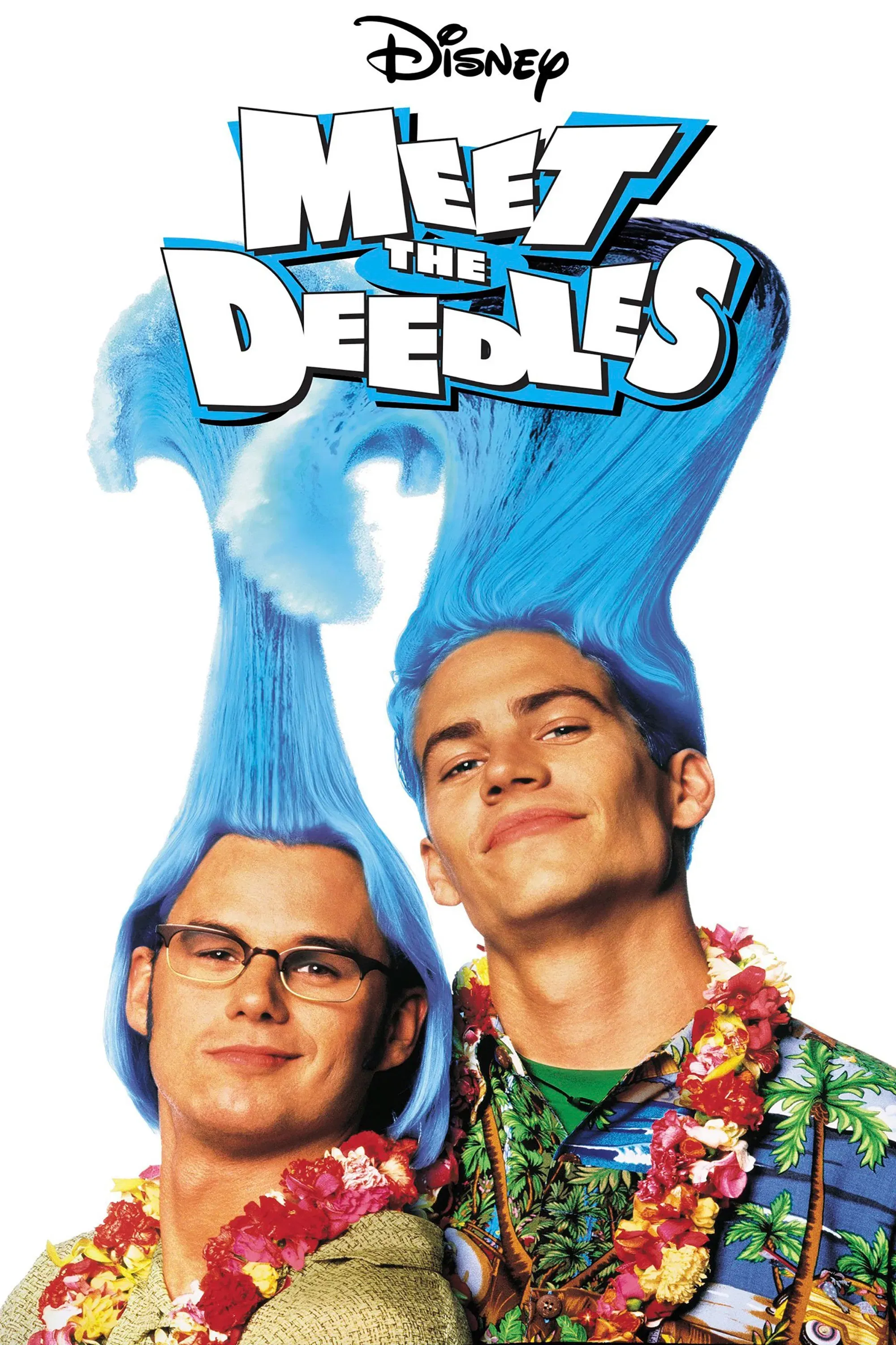 Poster of the movie Meet the Deedles