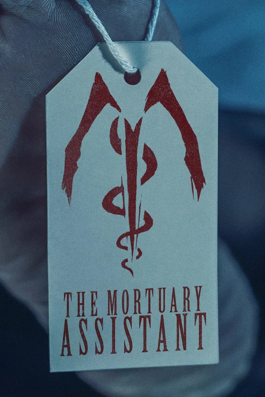 Poster for The Mortuary Assistant