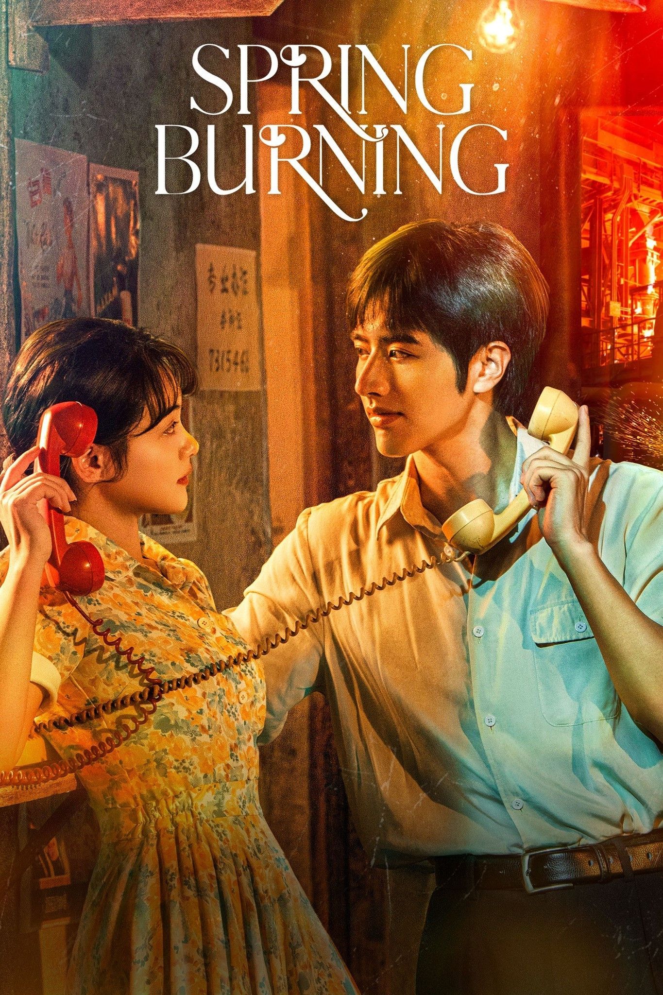 Poster of Spring Burning
