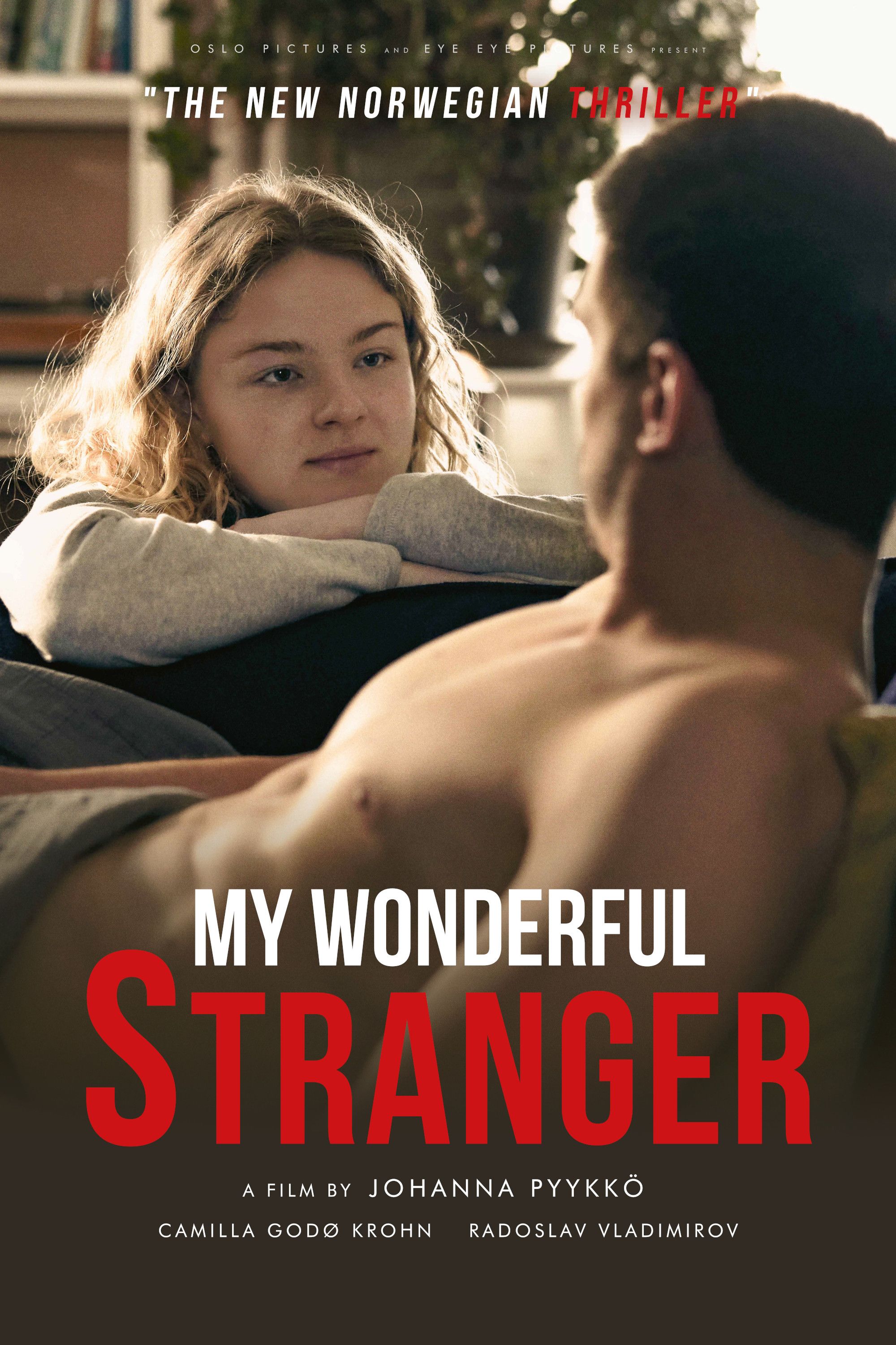 Poster of the movie My Wonderful Stranger