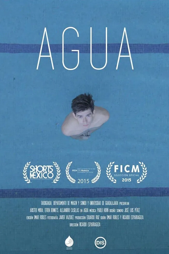 Poster of the movie Water