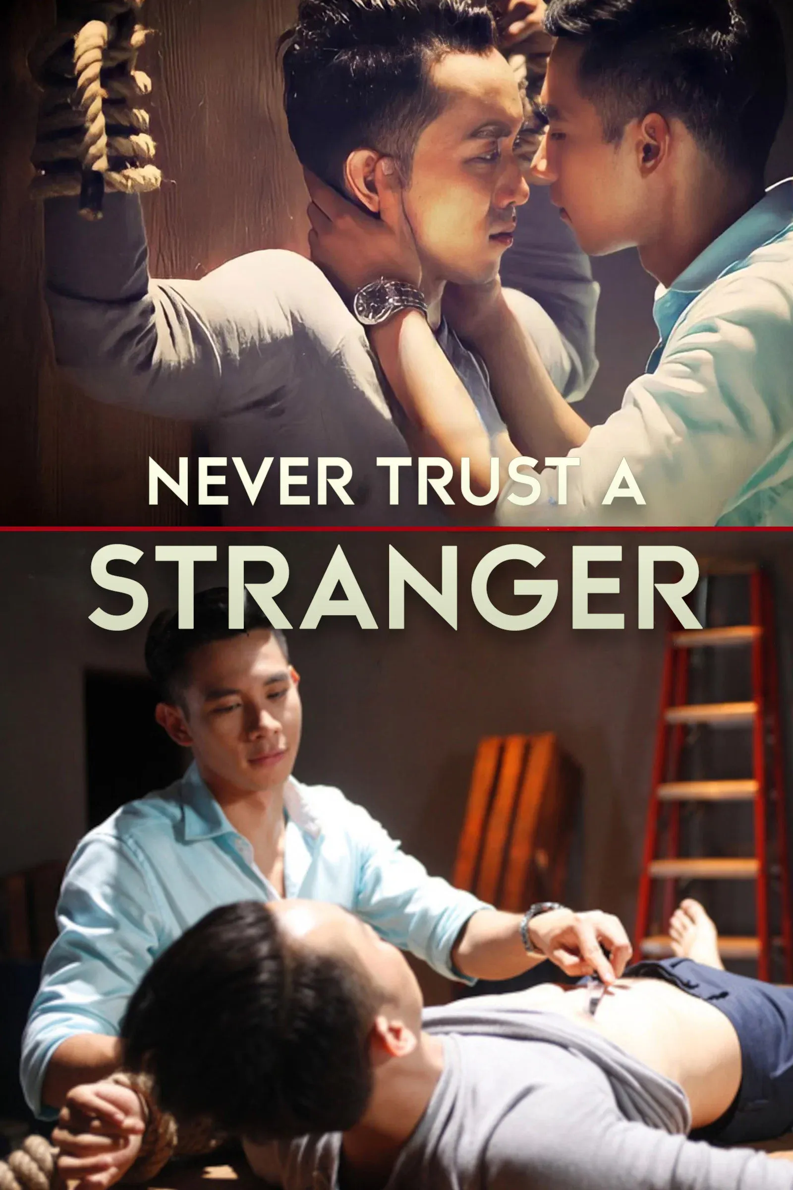 Poster for Never Trust a Stranger