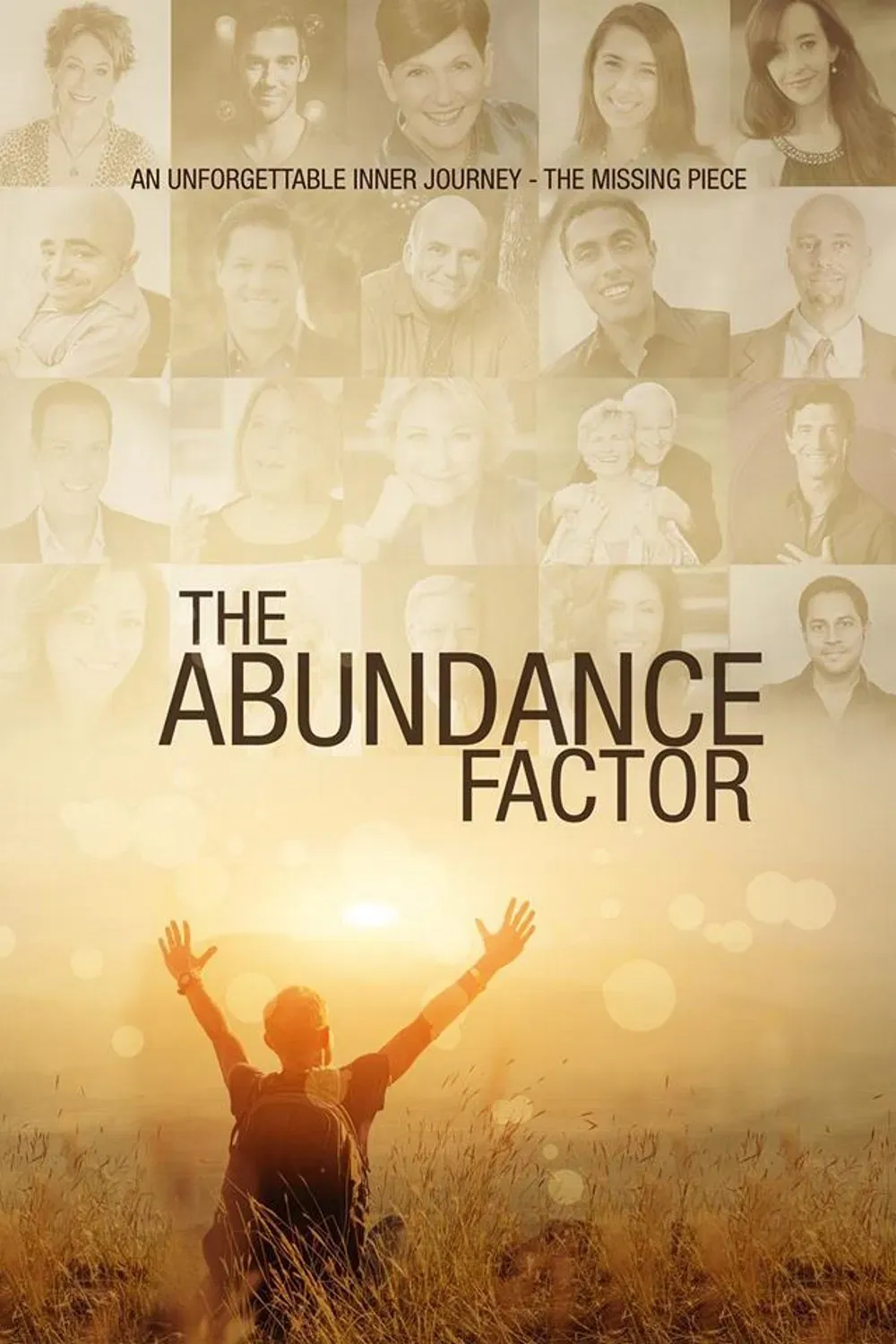 Poster of the movie The Abundance Factor