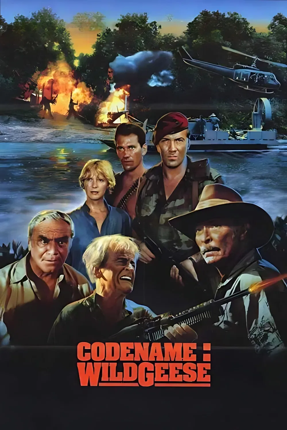 Poster of the movie Code Name: Wild Geese