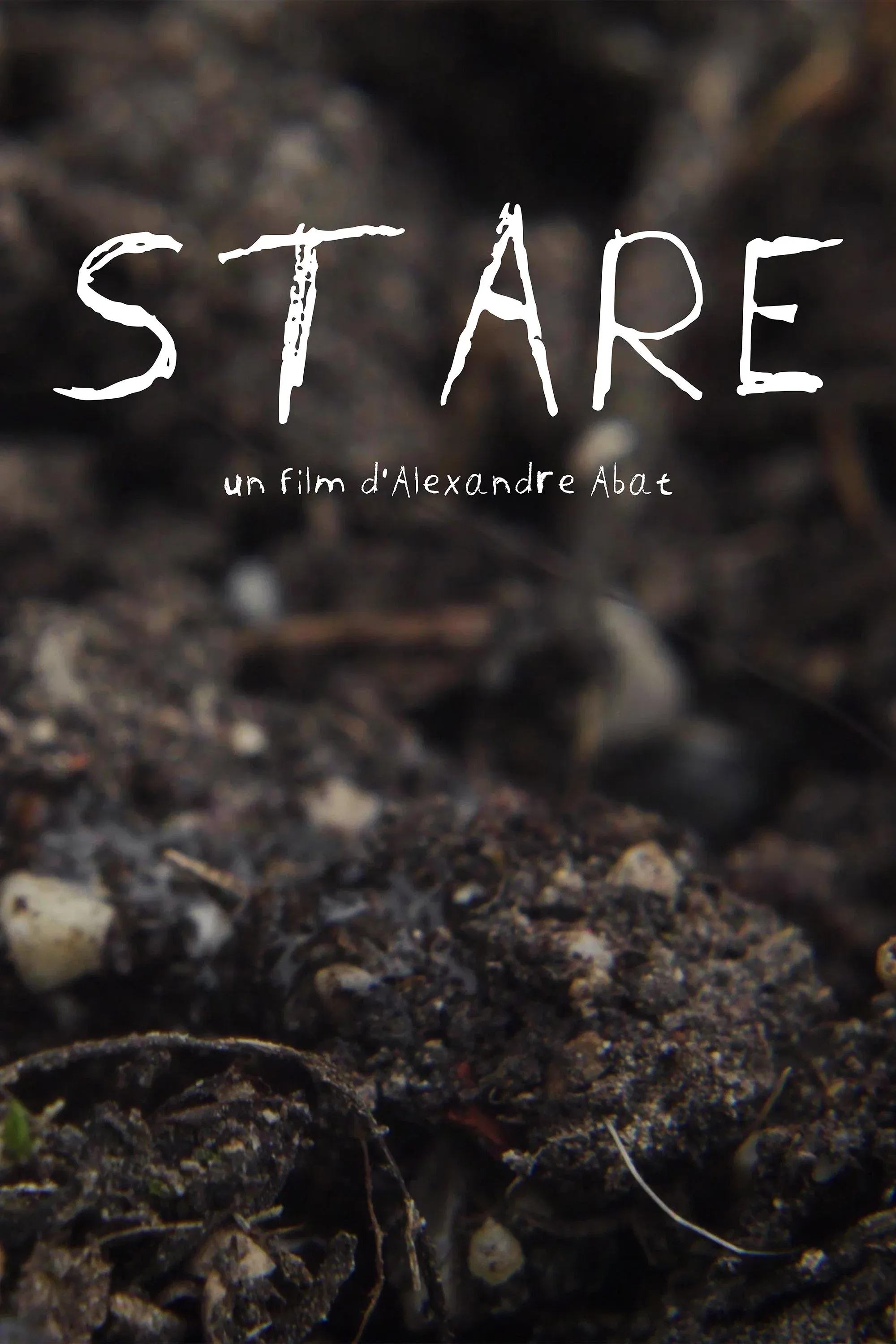 Poster for Stare