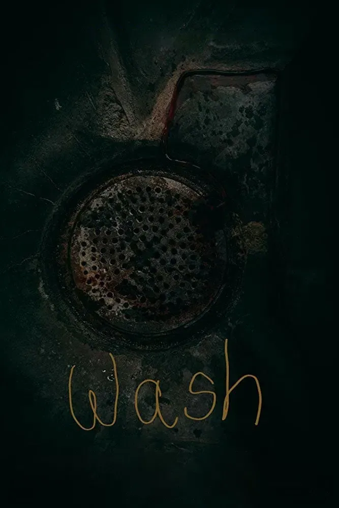 Poster of the movie Wash