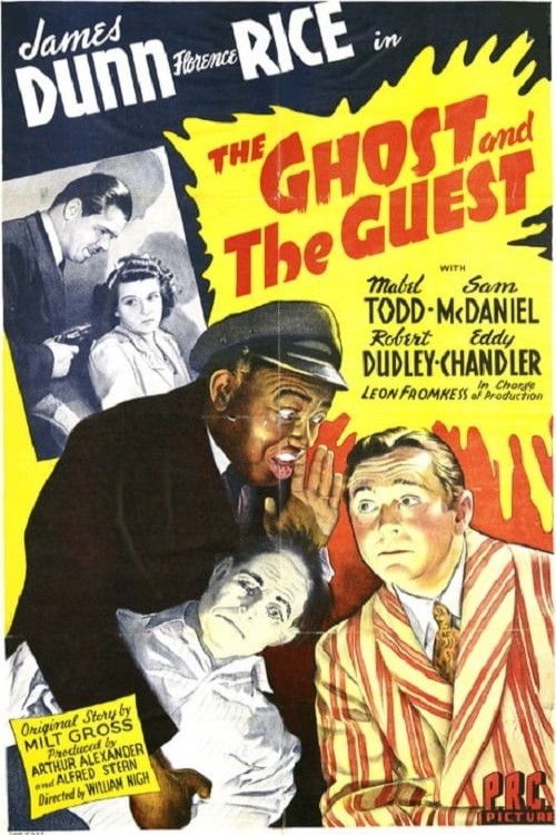 Poster of the movie The Ghost and the Guest