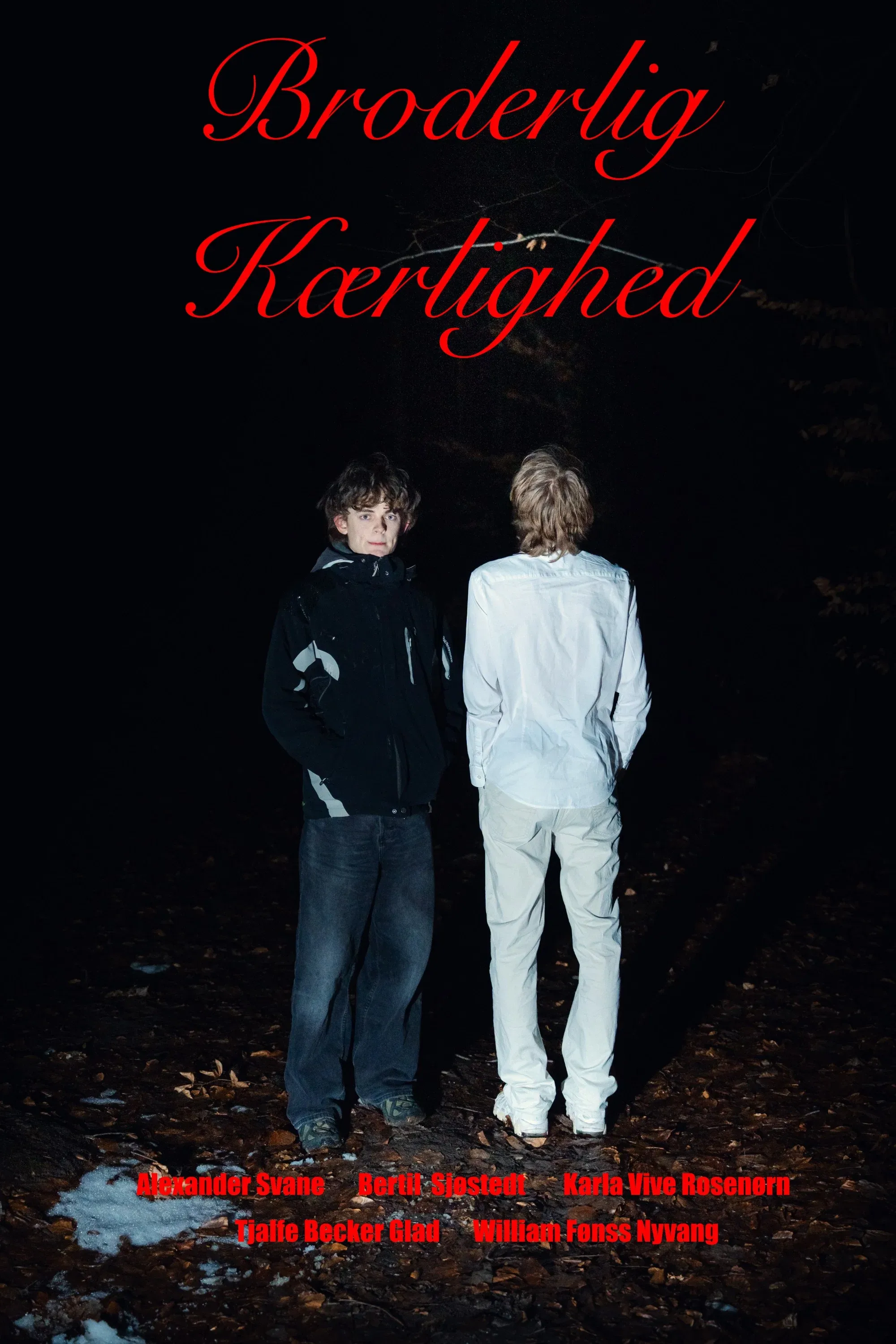 Poster for Brotherly love