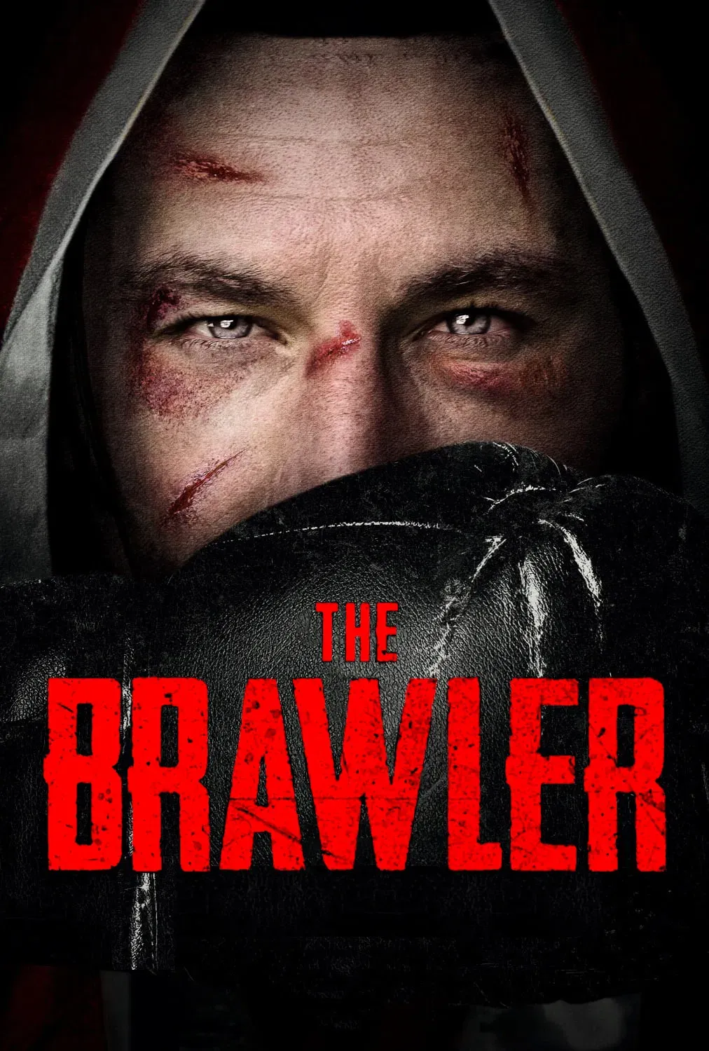 Poster of the movie The Brawler