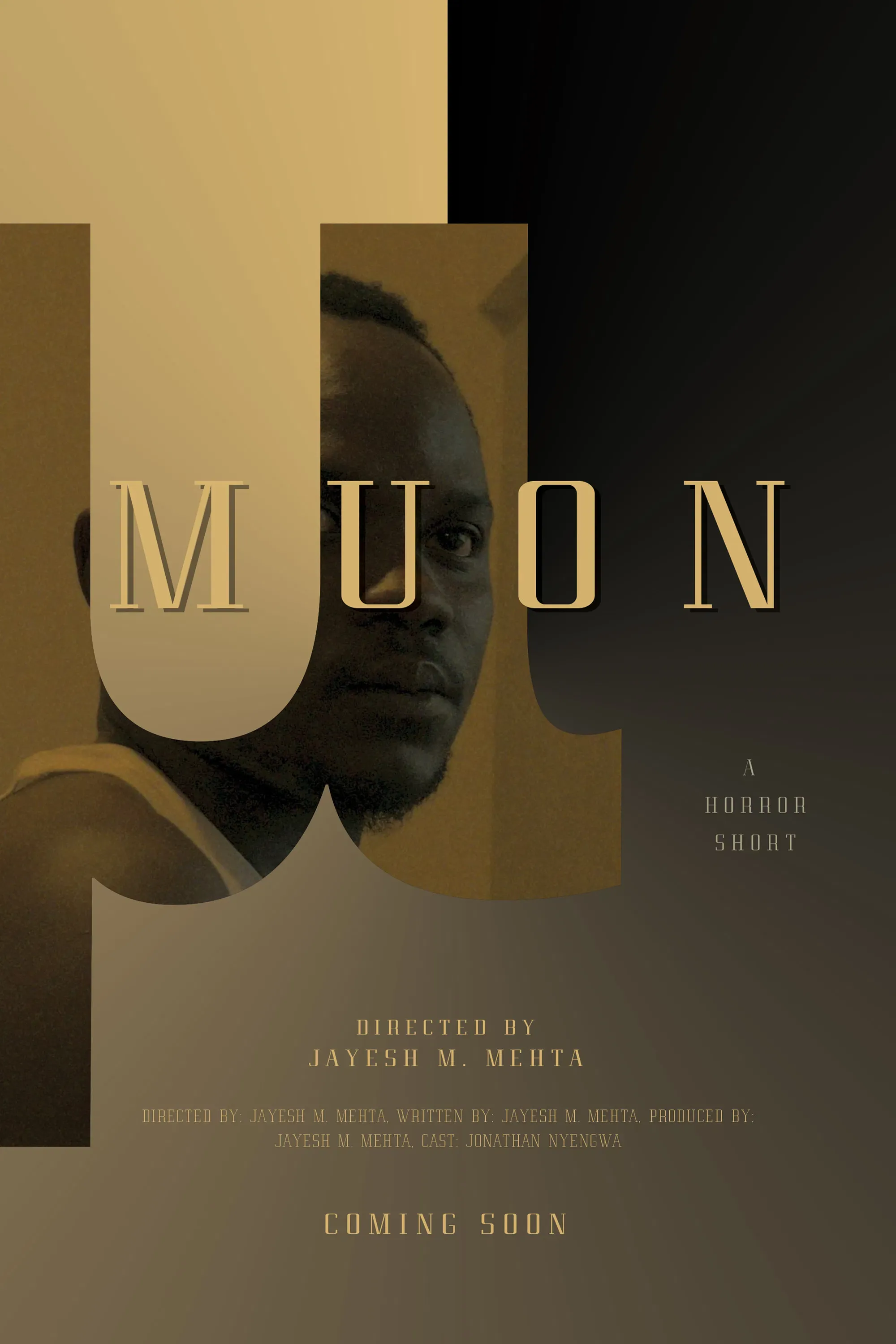 Poster of the movie Muon