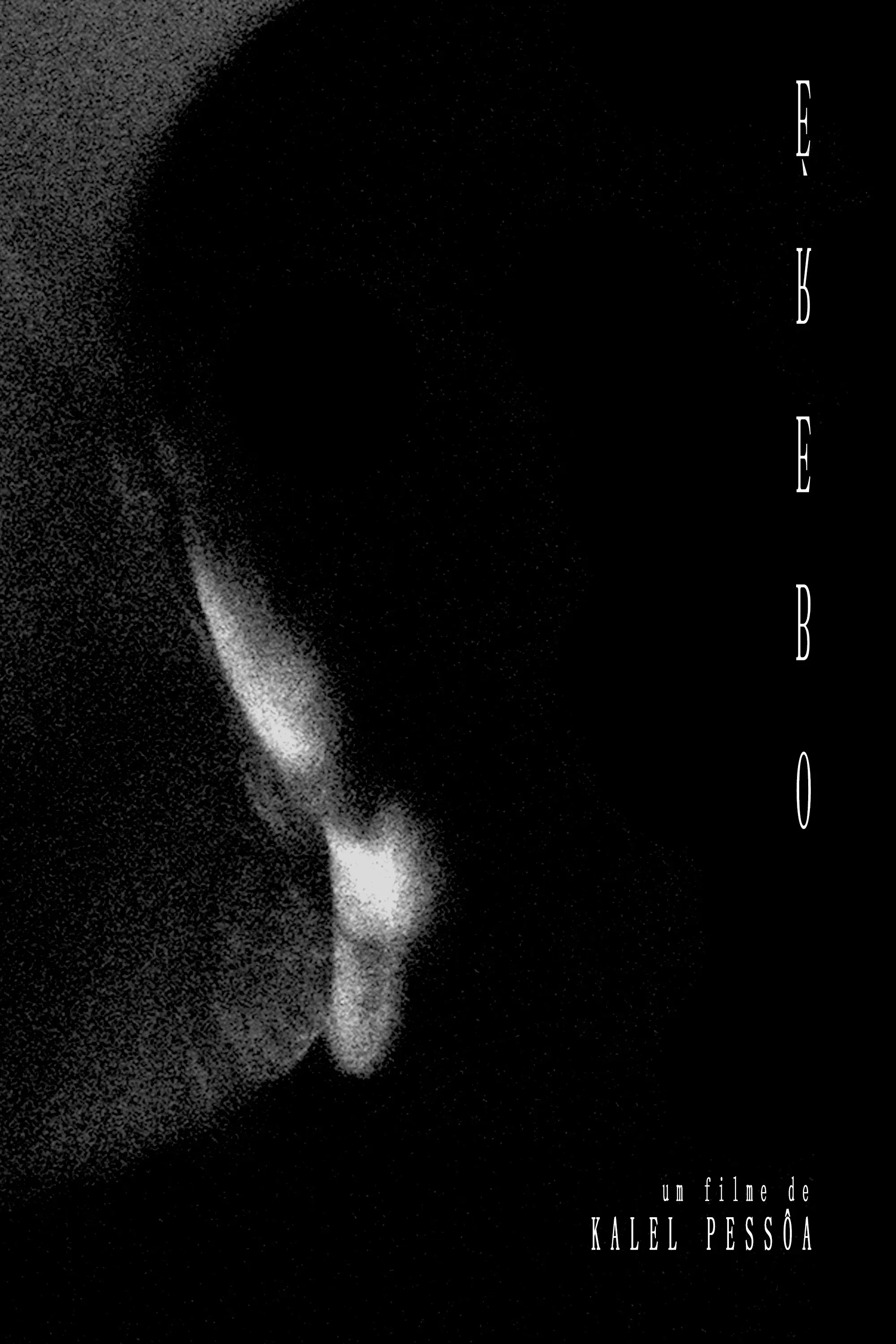 Poster for Erebus