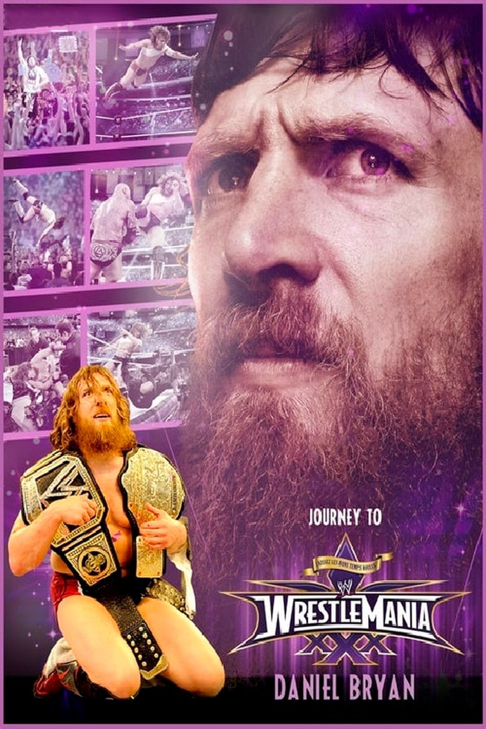 Poster of the movie Daniel Bryan: Journey to WrestleMania 30