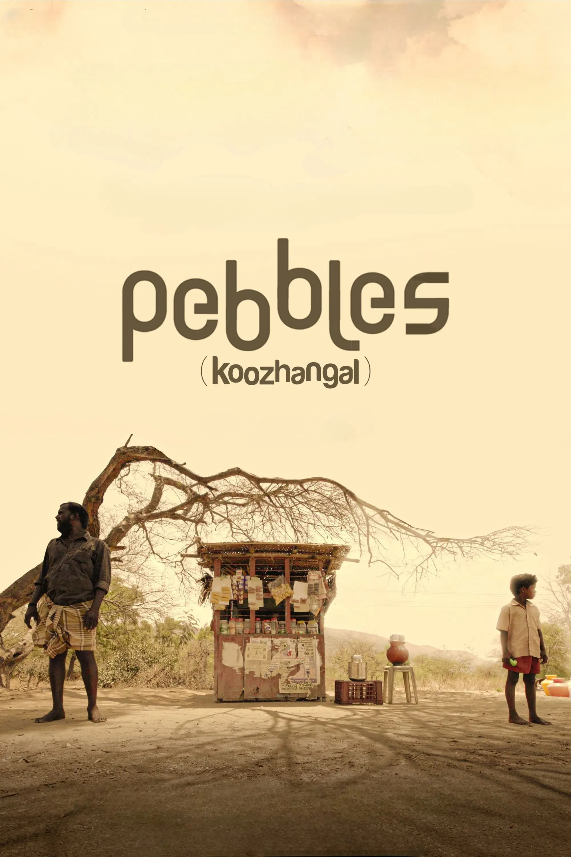 Poster of the movie Pebbles