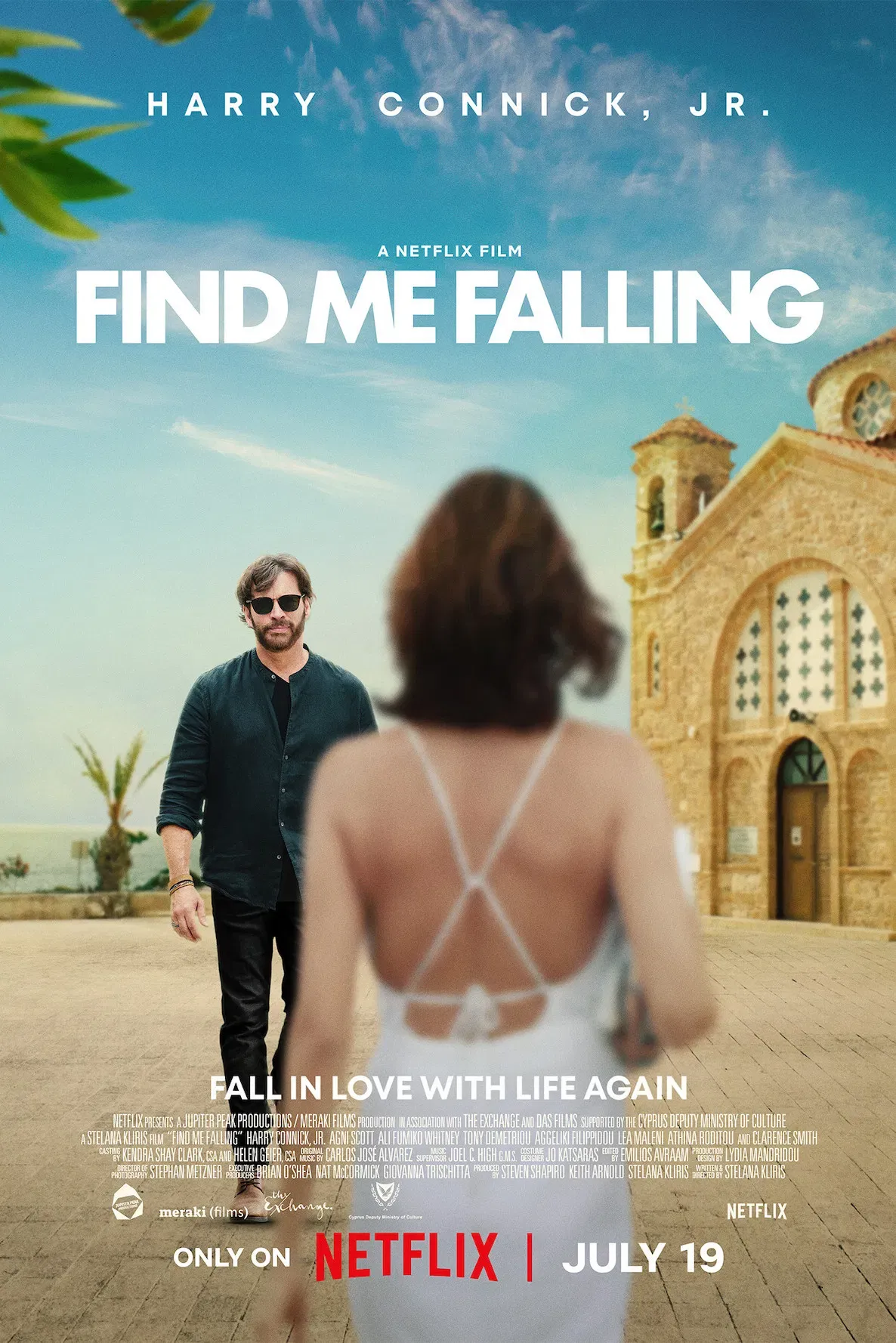 Poster of the movie Find Me Falling