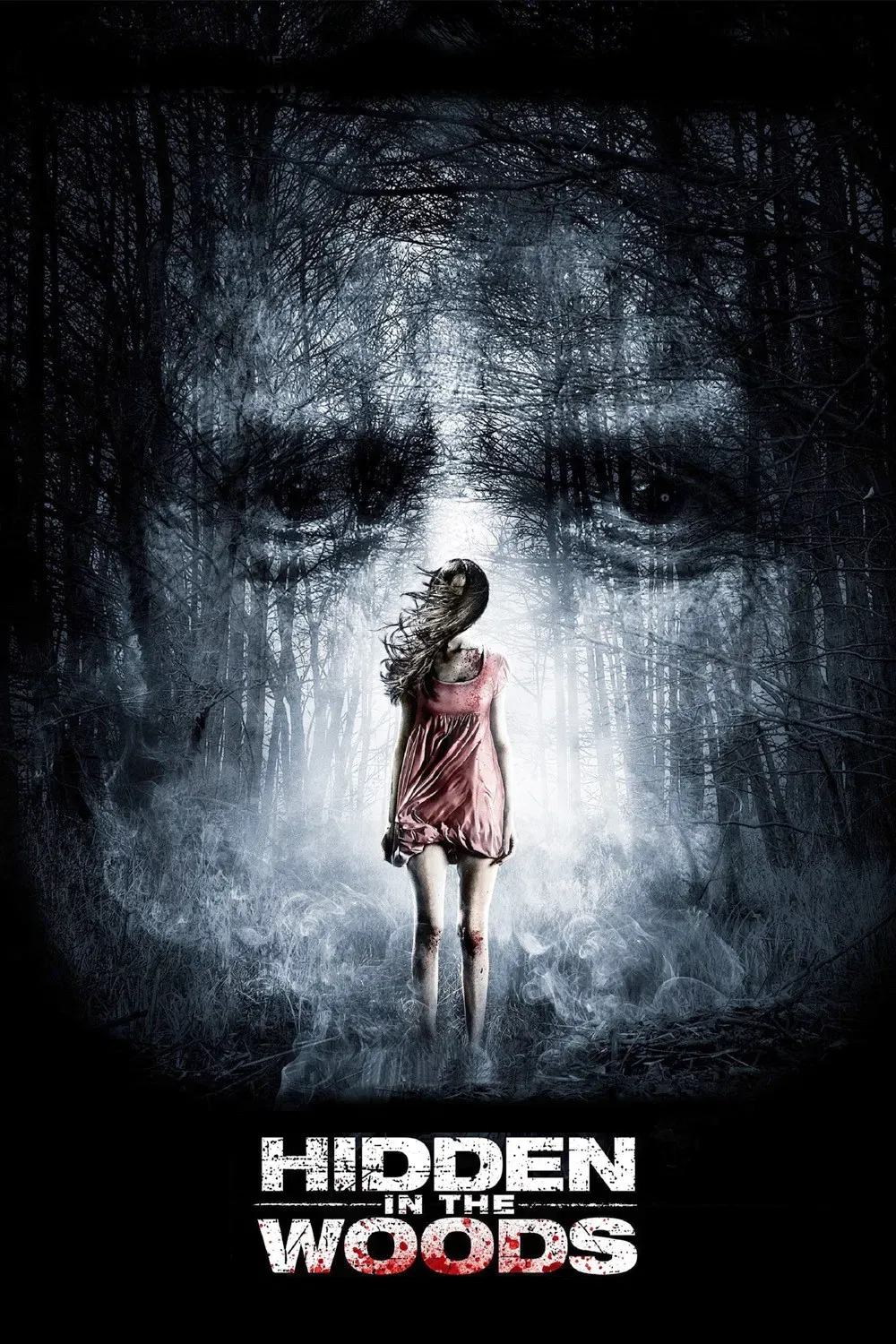 Poster of the movie Hidden in the Woods