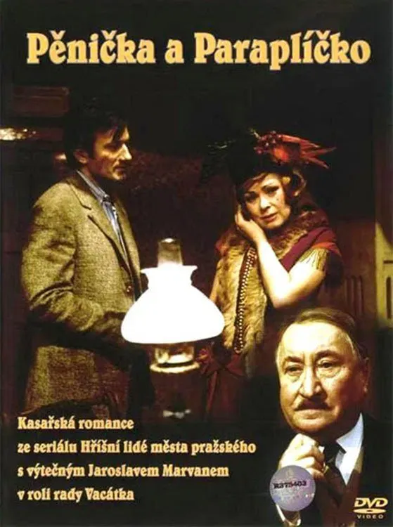 Poster of the movie Burglar and Umbrella