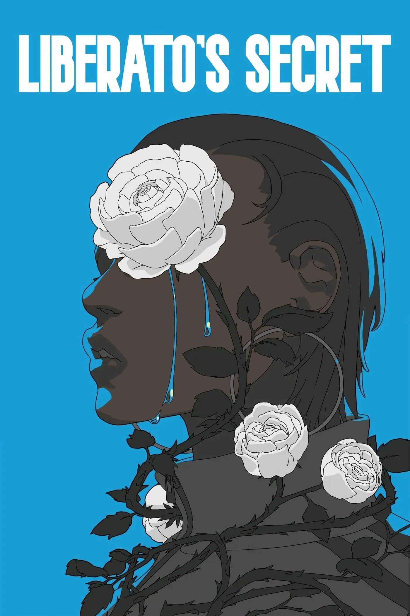 Poster of the movie Liberato's Secret