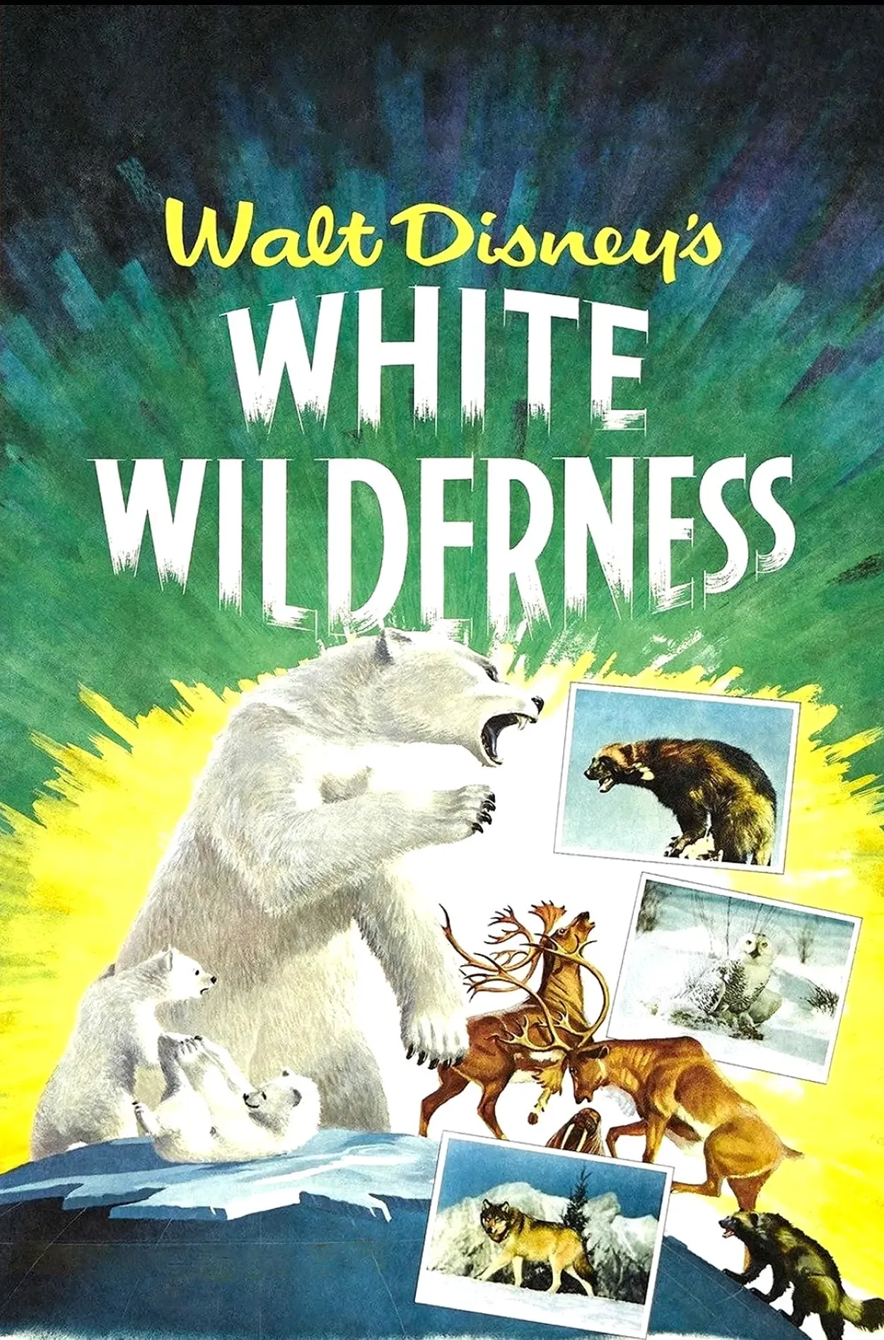 Poster of the movie White Wilderness
