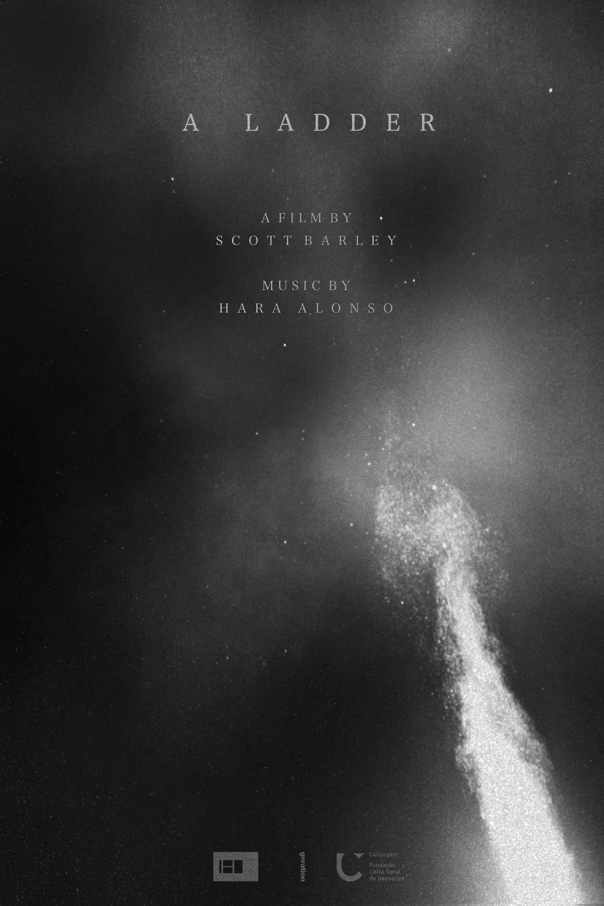 Poster of the movie A Ladder