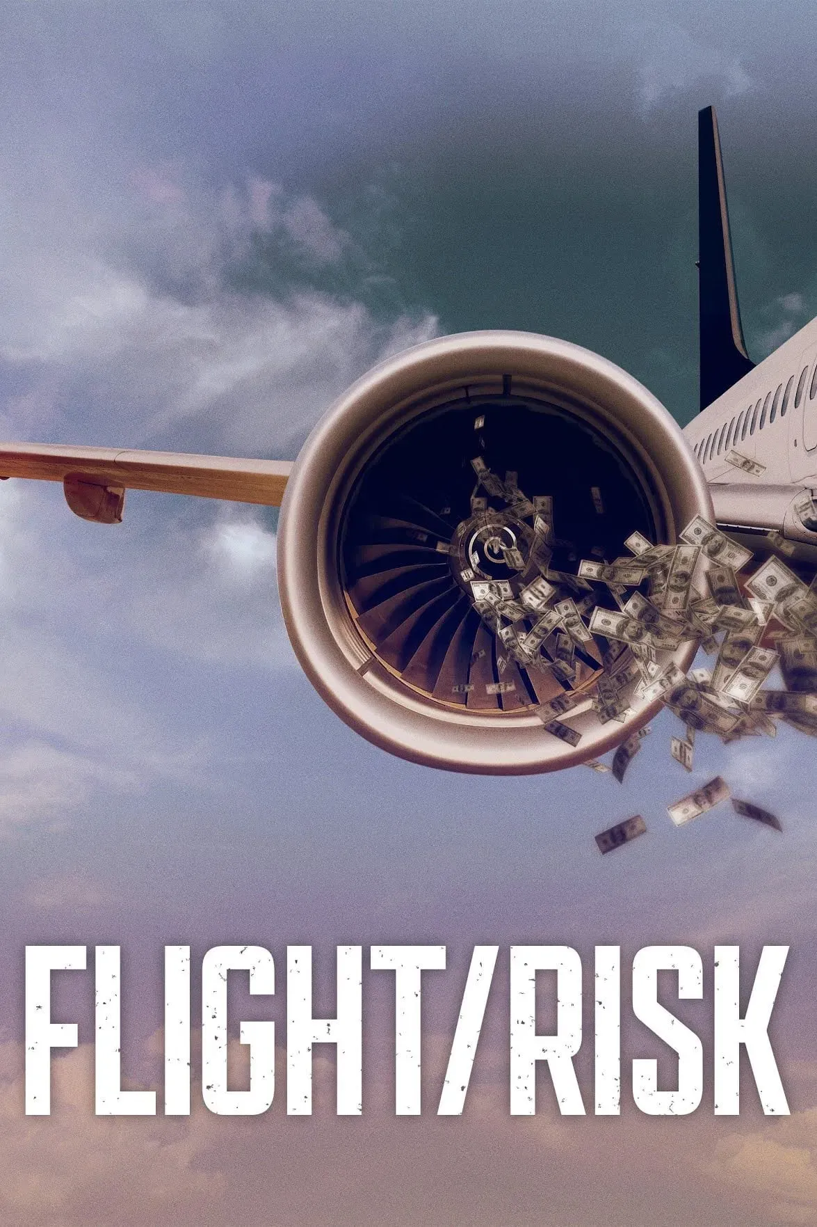 Poster of the movie Flight/Risk