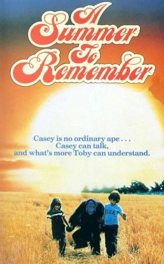 Poster of the movie A Summer to Remember
