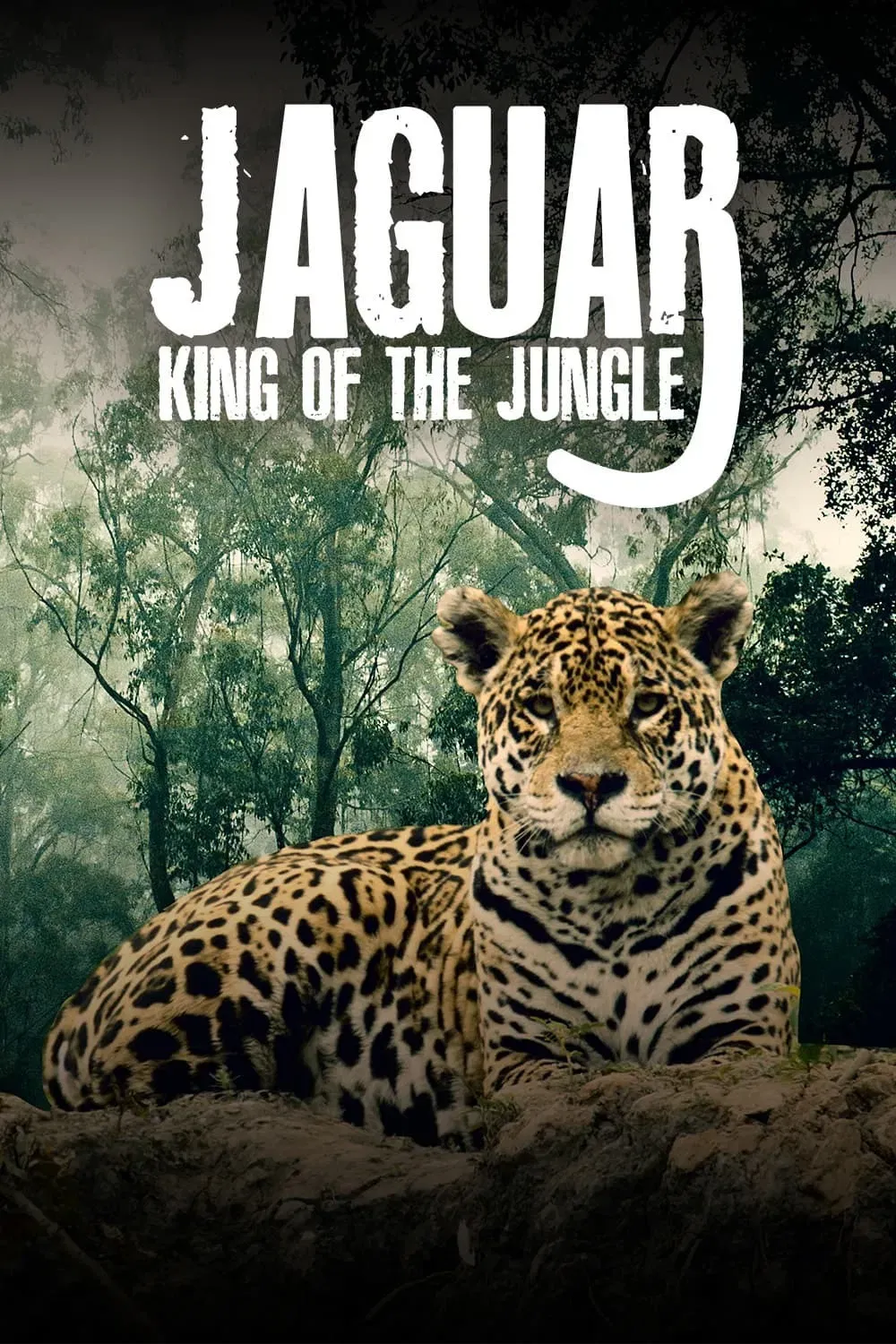 Poster of the movie Jaguar: King of the Jungle
