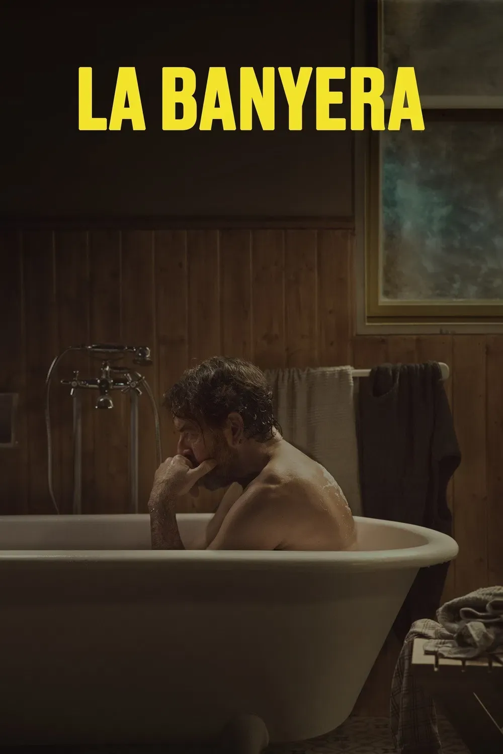 Poster of the movie The Bathtub