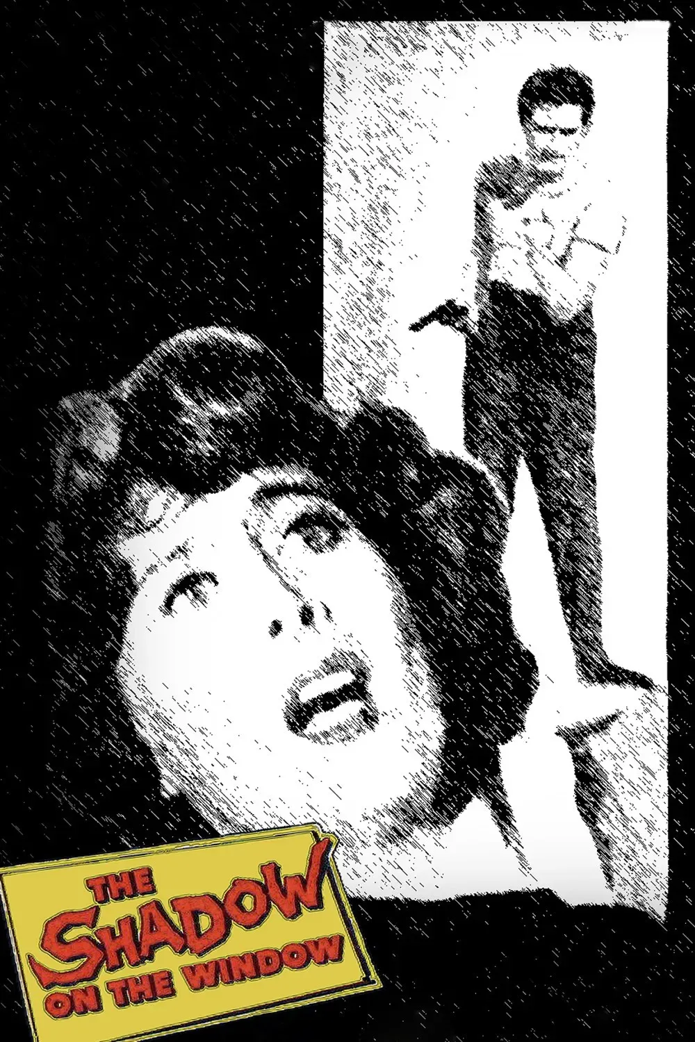 Poster of the movie The Shadow on the Window