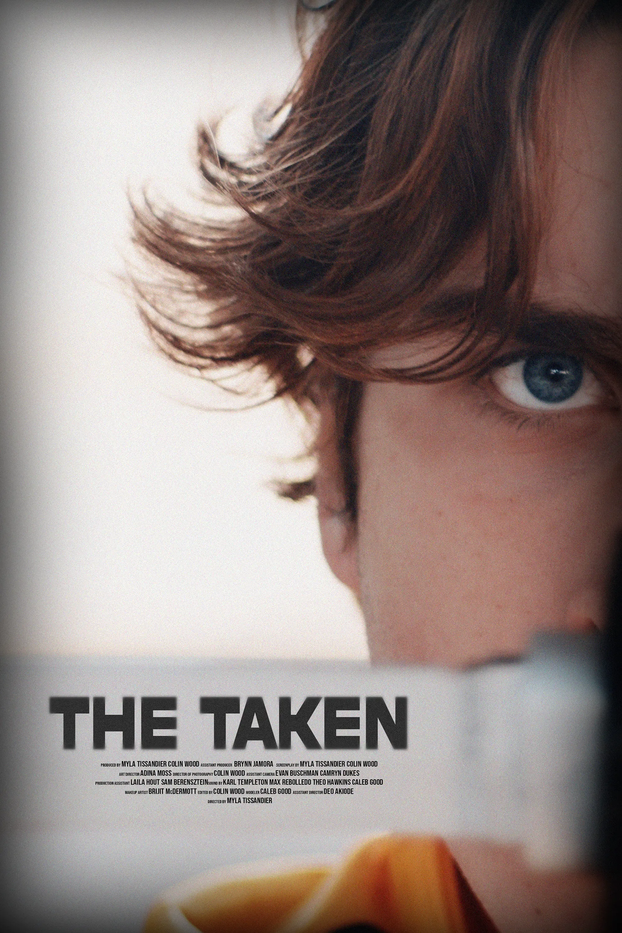 Poster of the movie THE TAKEN