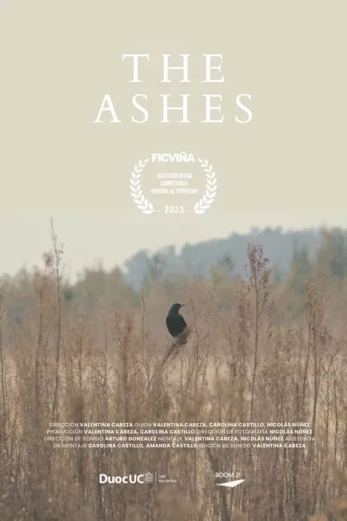 Poster of the movie The Ashes
