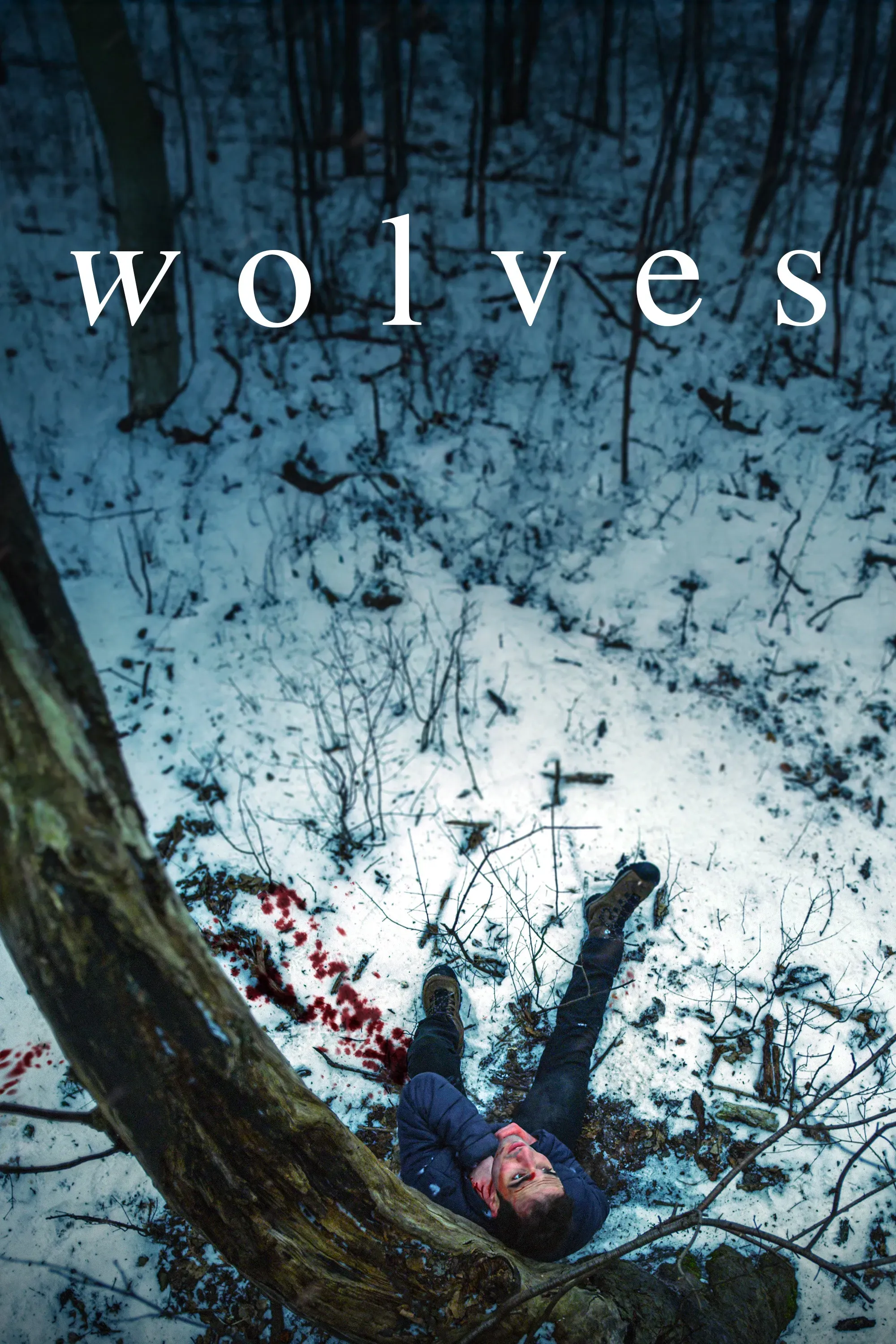 Poster of the movie Wolves