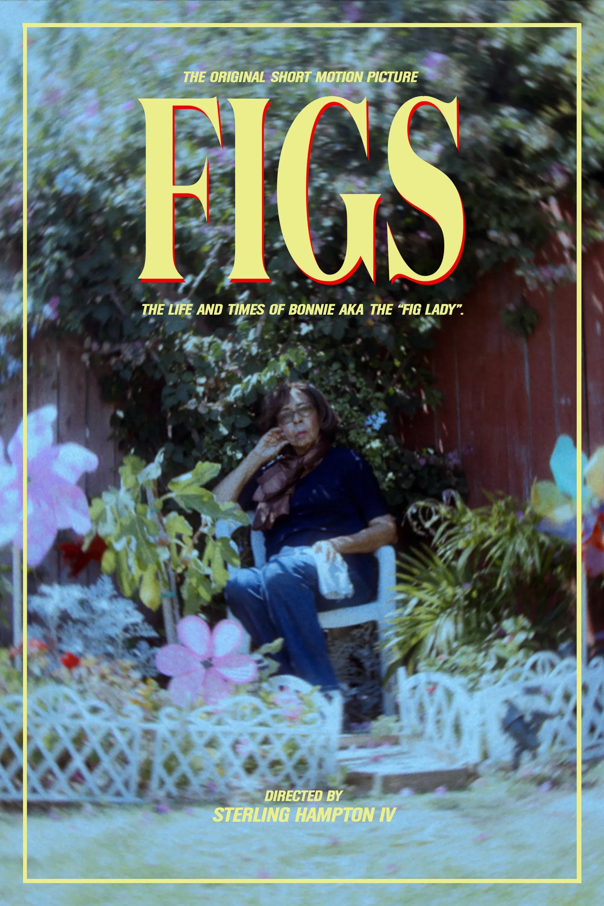 Poster for Figs