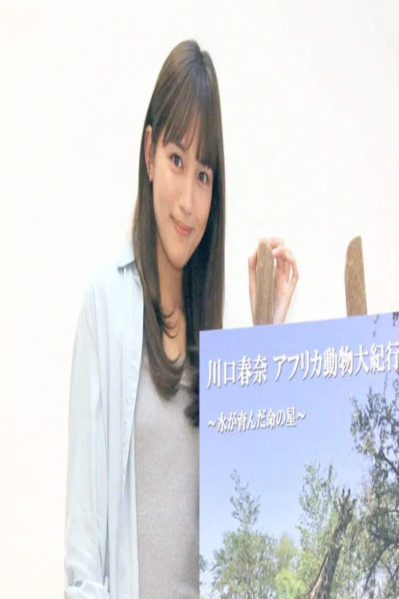 Poster of アフリカ動物大紀行