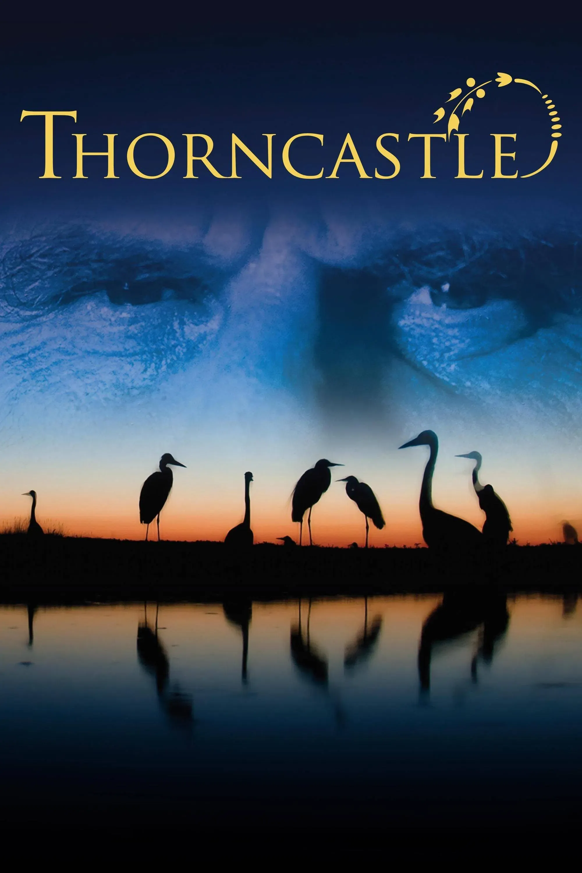 Poster of the movie Thorn Castle
