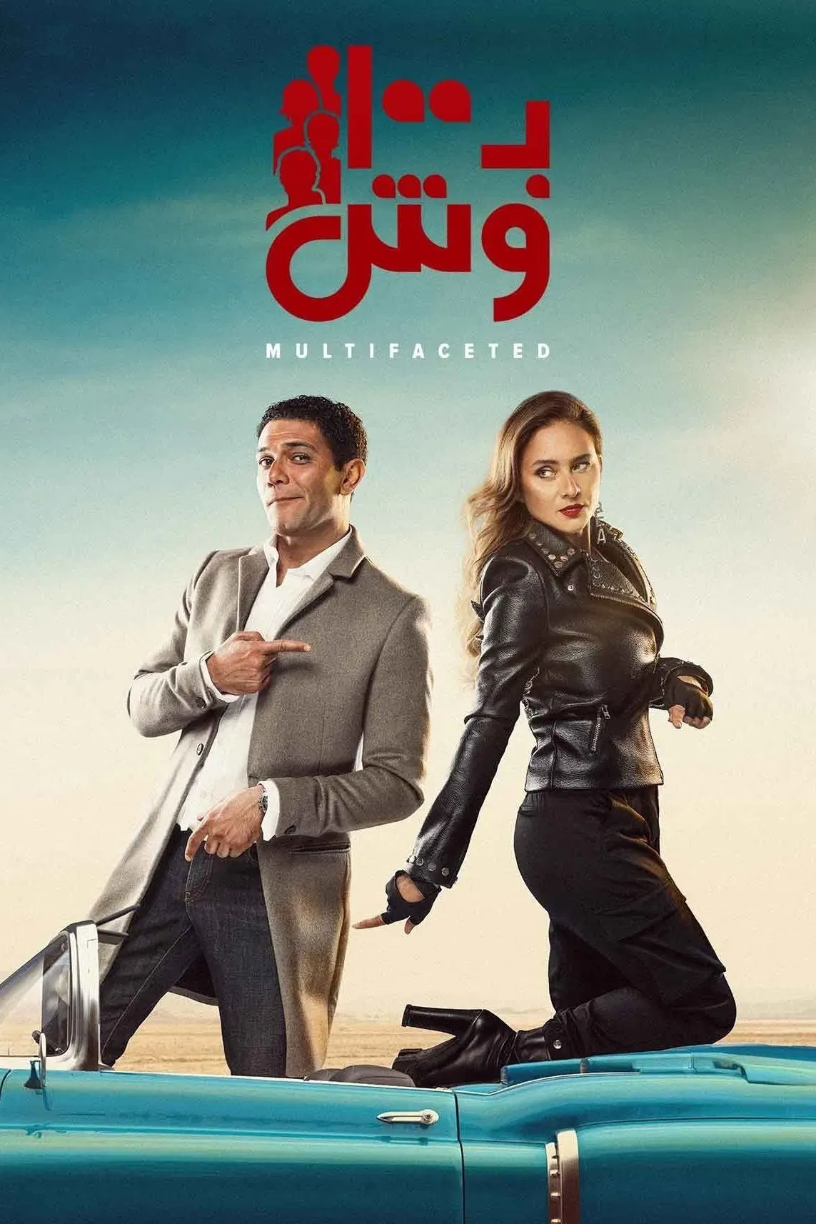 Poster of Multifaceted