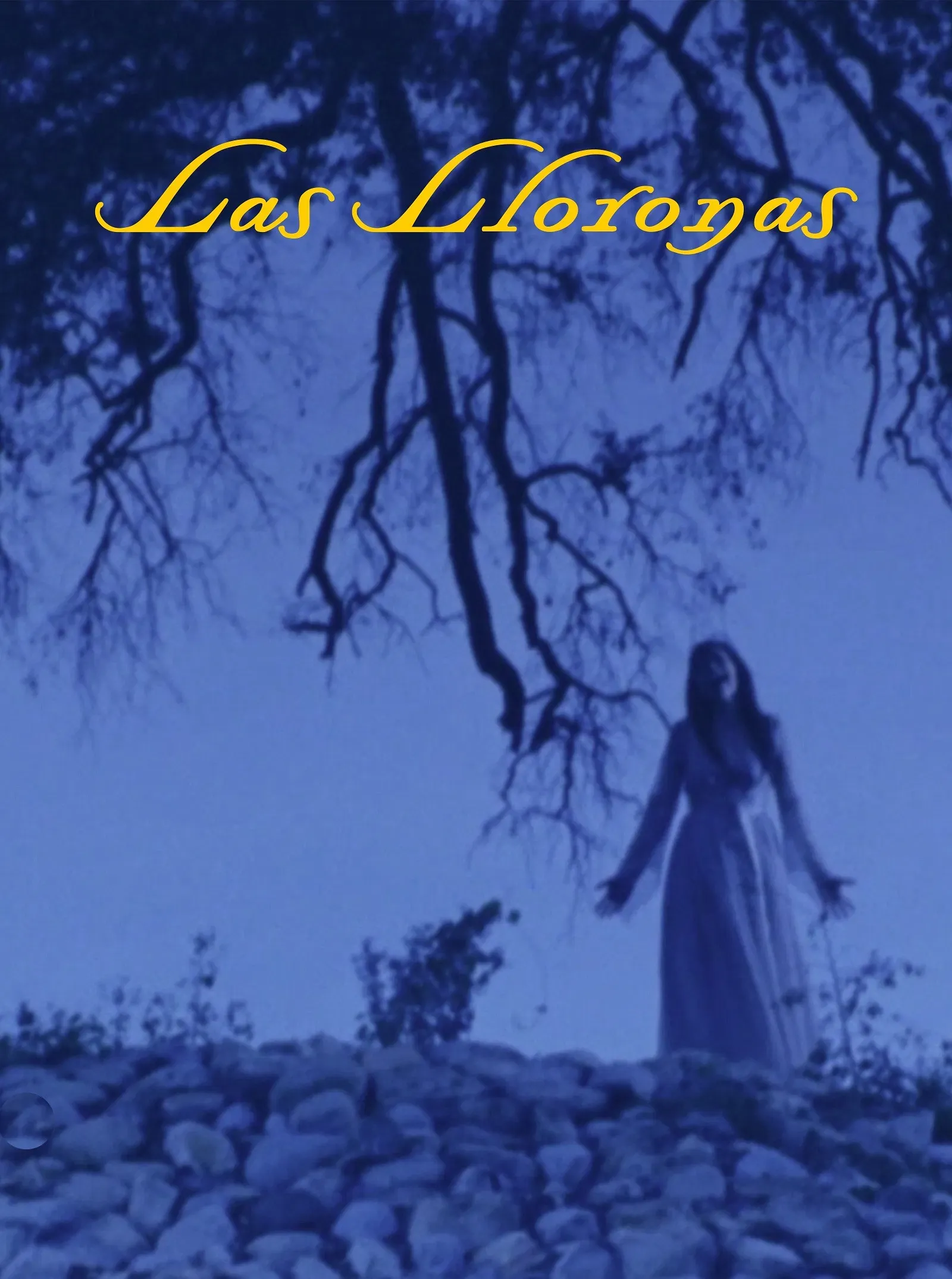 Poster of the movie Las lloronas