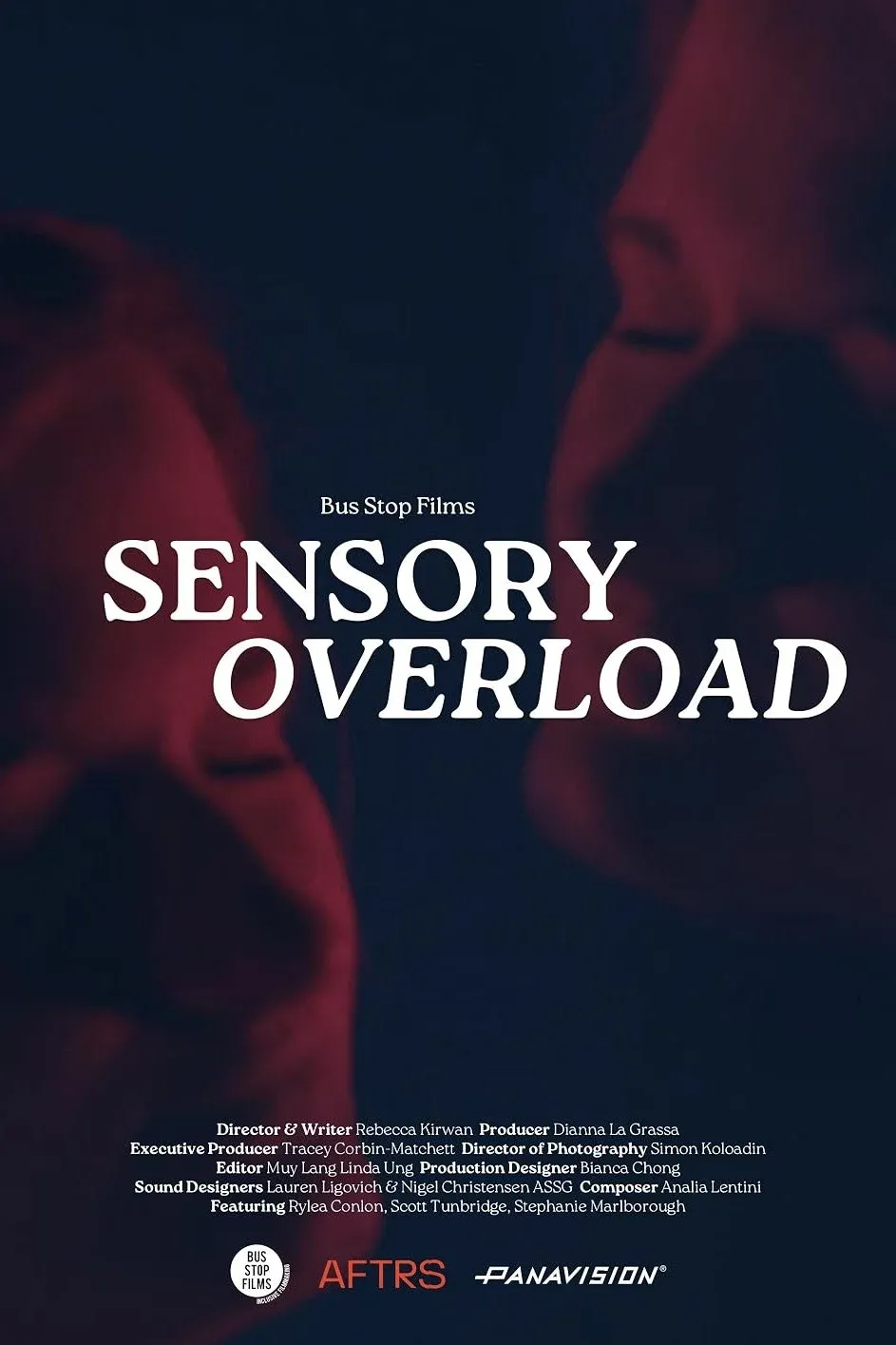 Poster for Sensory Overload
