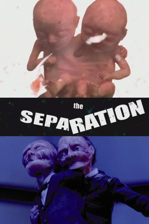 Poster of the movie The Separation