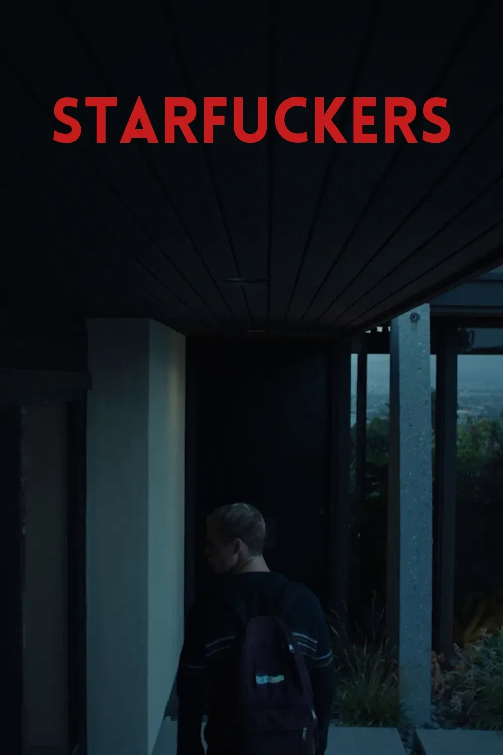 Poster of the movie Starfuckers