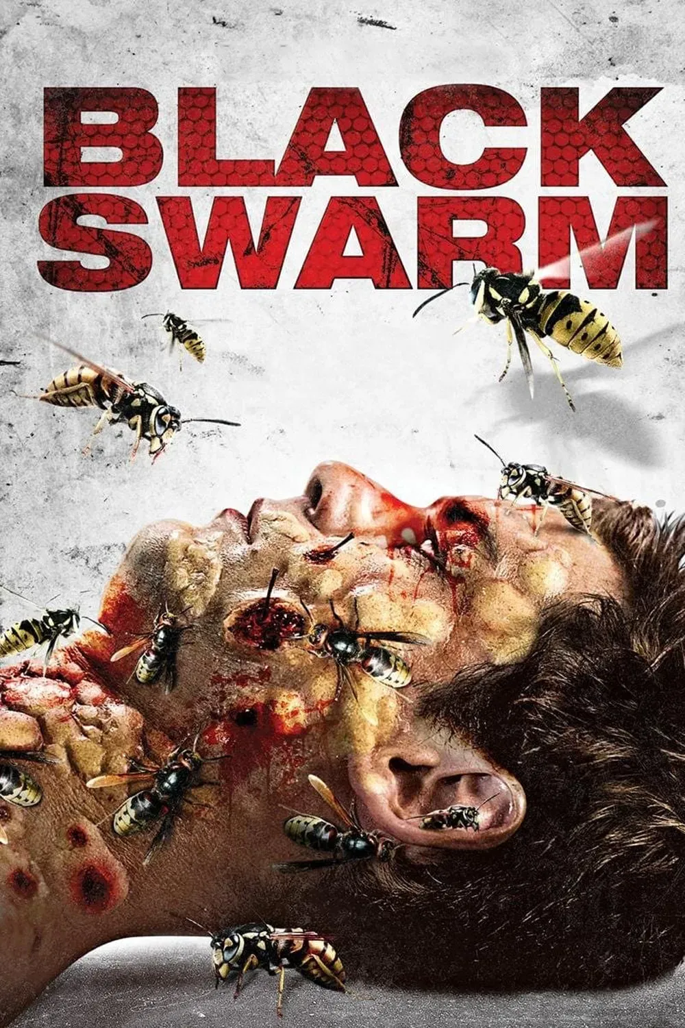 Poster of the movie Black Swarm