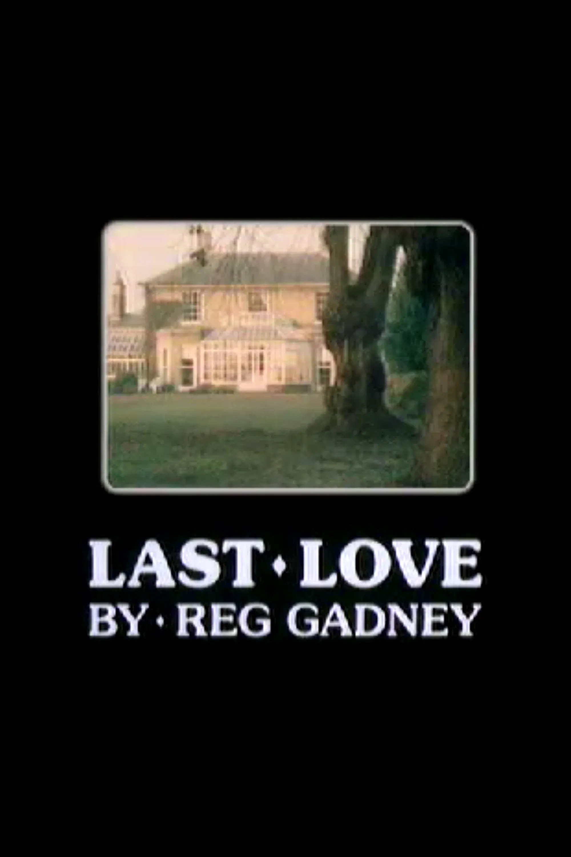 Poster for Last Love