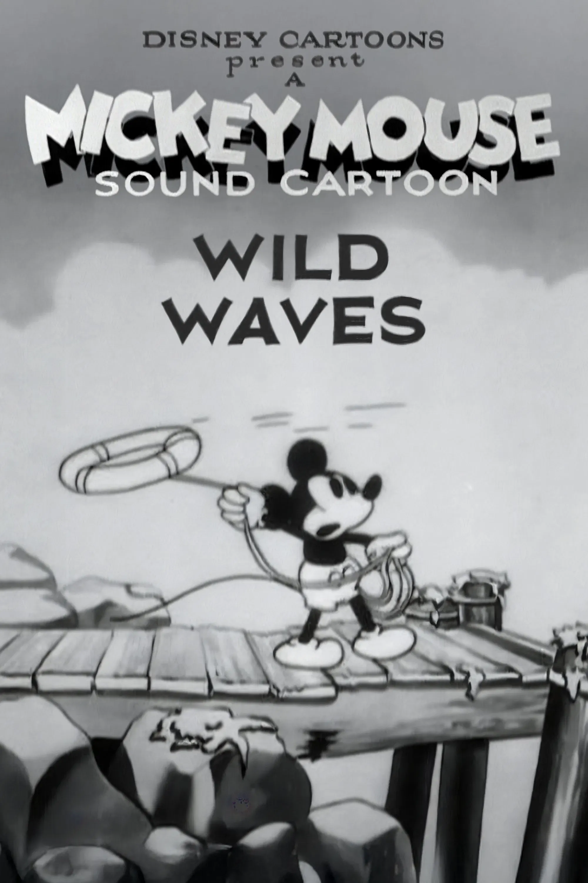 Poster of the movie Wild Waves