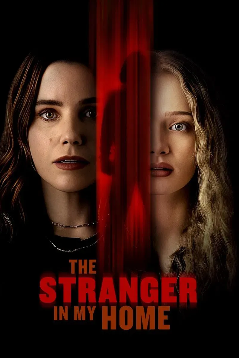 Poster of the movie The Stranger in My Home